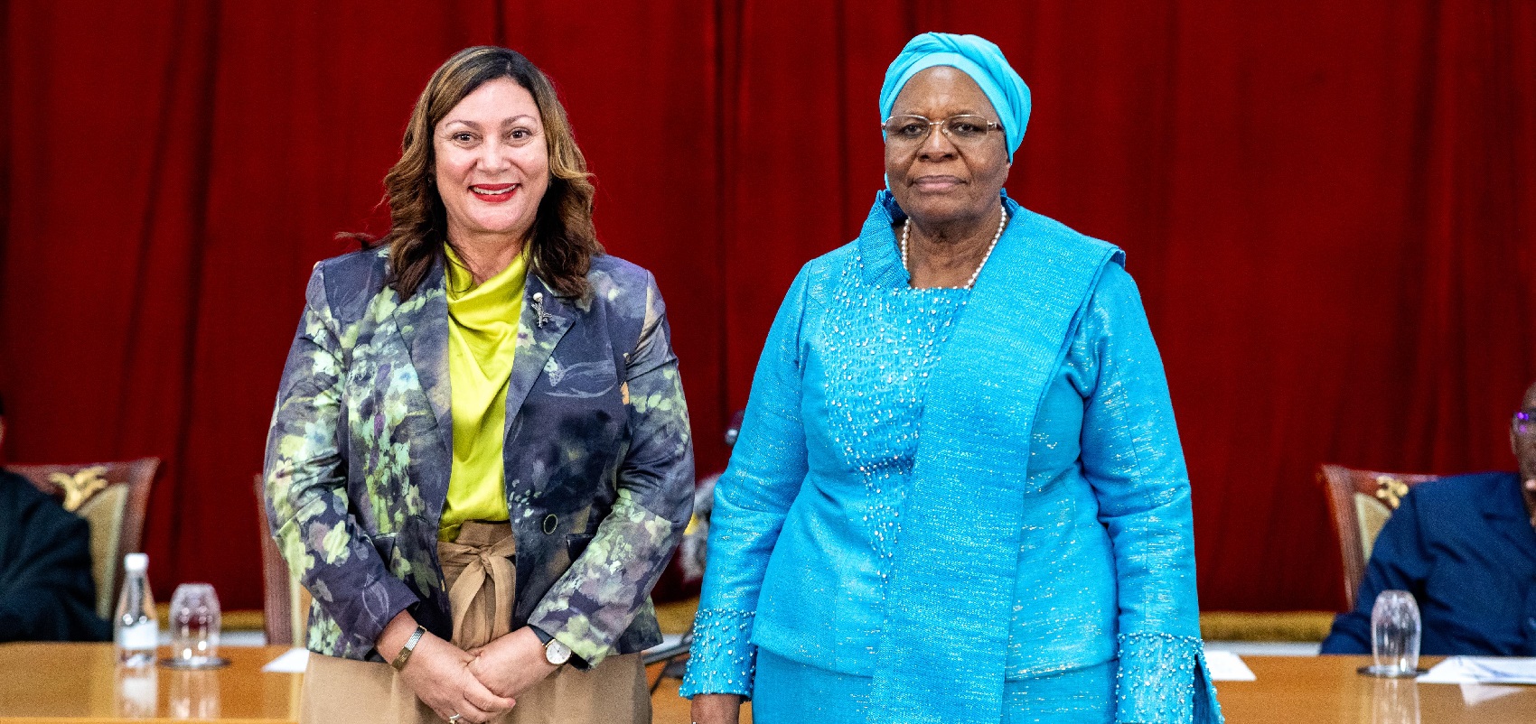 Hon. Sanet L. Steenkamp appointed appointed as Minister